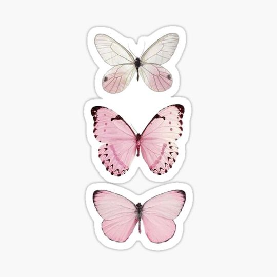 Discover Butterfly Pack (Pink)