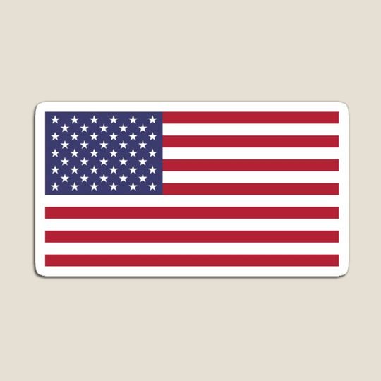 Discover USA Flag Fridge Magnet