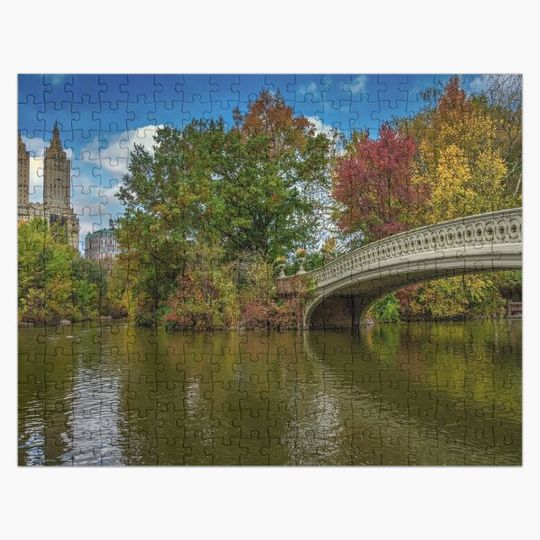 Discover NY Central Park - NY central park bird watcher