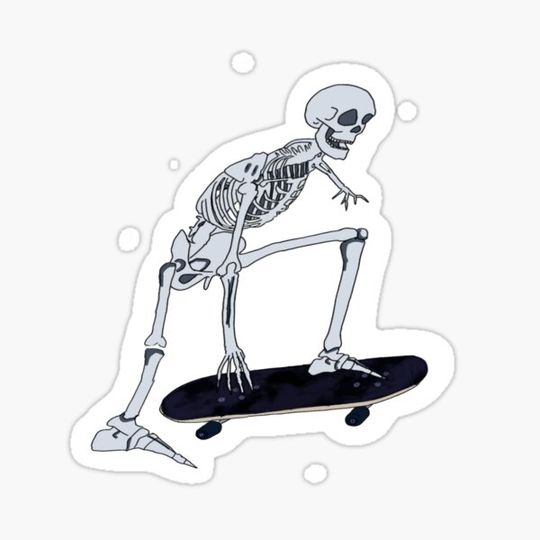 Discover Skater Skeleton