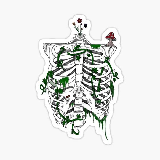 Discover Natural Ribs