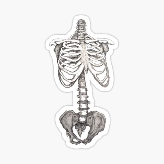 Discover Stipple Skeleton