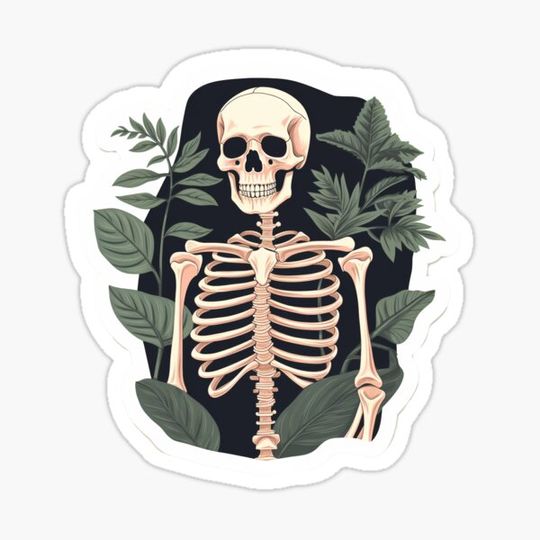 Discover lush skeleton