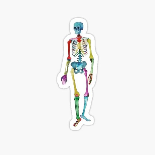 Discover Skeleton motley