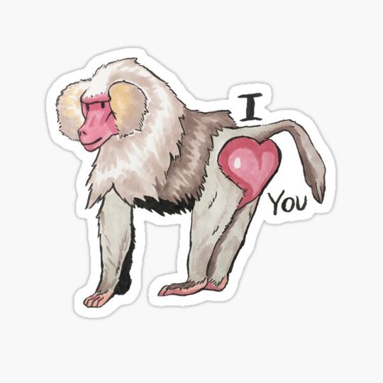 Discover Baboon Butt Love