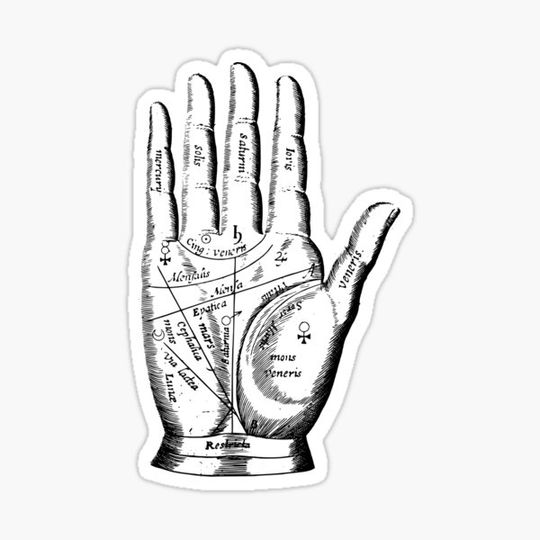 Discover Vintage Palmistry Hand Illustration
