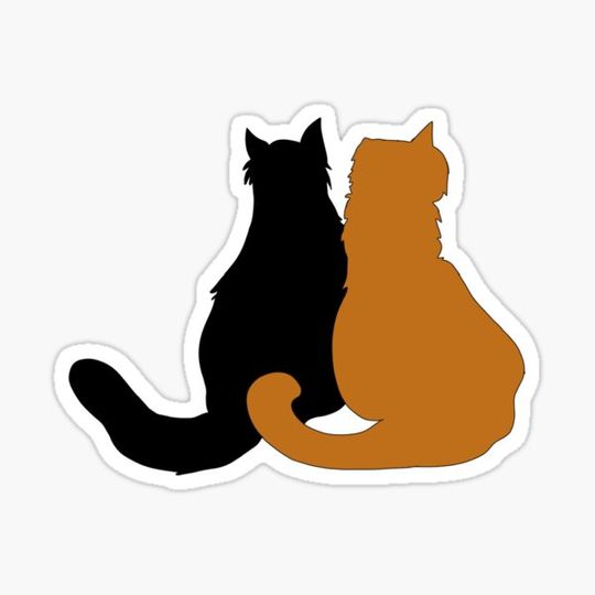 Discover kitty cats