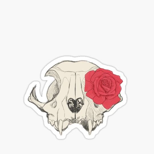 Discover Cat Skull