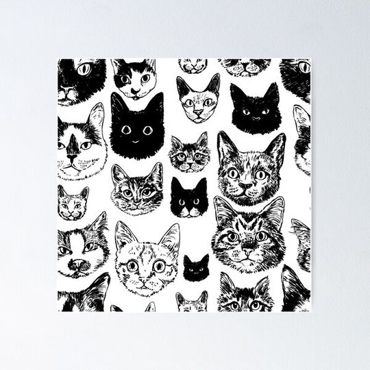 Discover MEOW