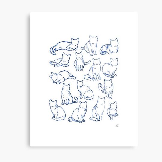 Discover Kittens in Blue