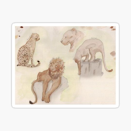 Discover felines
