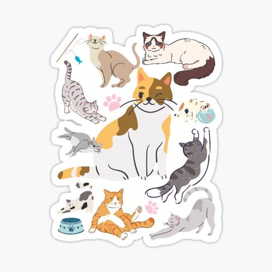 Discover Cats