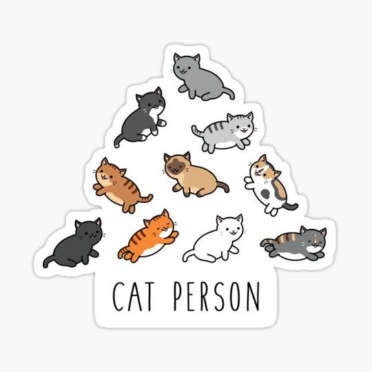 Discover I'm A Cat Person Kawaii Kittens