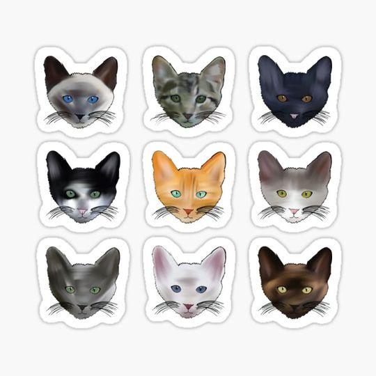 Discover A Purrfect Pattern