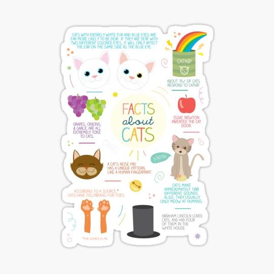 Discover Facts About Cats