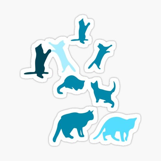 Discover Cats