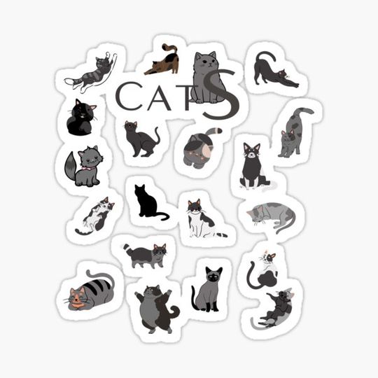 Discover Cats, Cats sticker, cats lover,