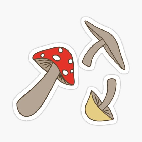 Discover Mushroom pattern