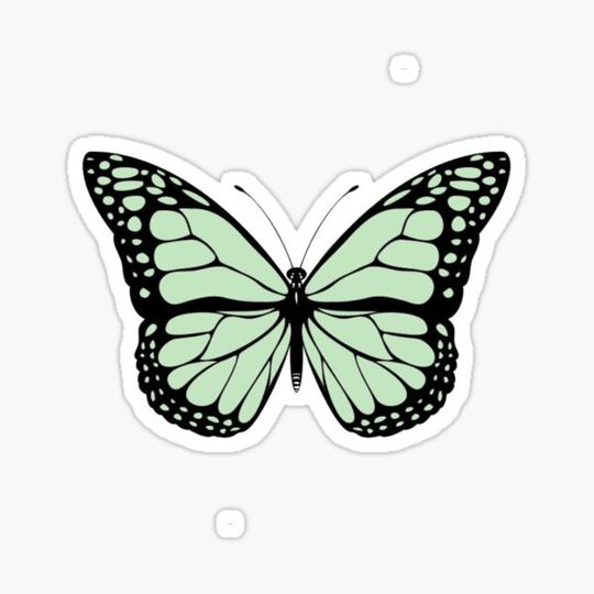 Discover pastel green butterfly