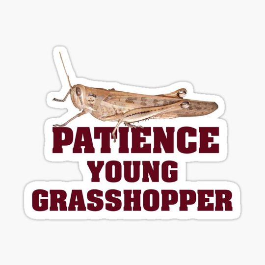 Discover Patience Young Grasshopper