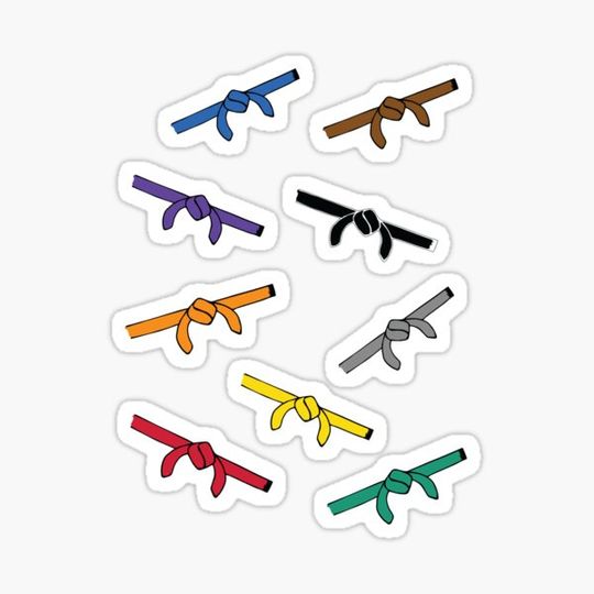 Discover Martial Art Belt Colors Gift Idea, Karate, Tae Kwon Do, Judo