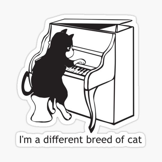 Discover A different breed of cat (piano cat)