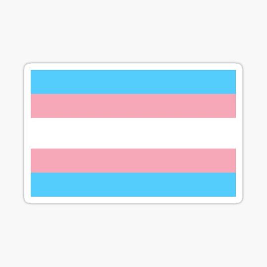 Discover Transgender Flag