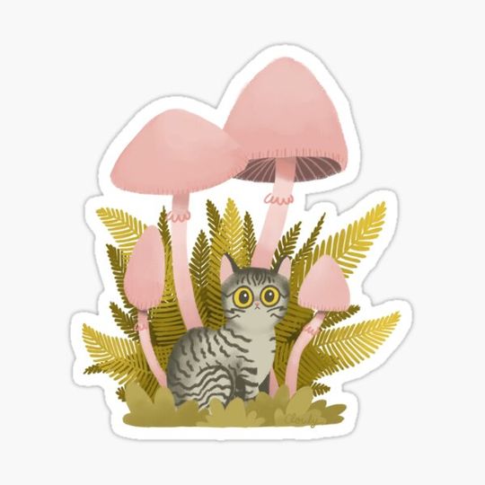 Discover Shroom cat