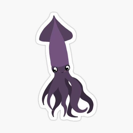 Discover lil squid