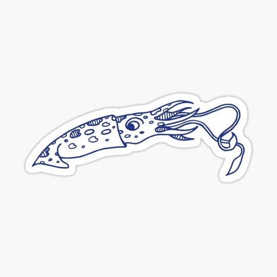 Discover Squid