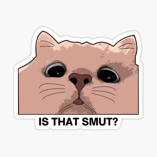 Discover is that smut? cute peeking cat