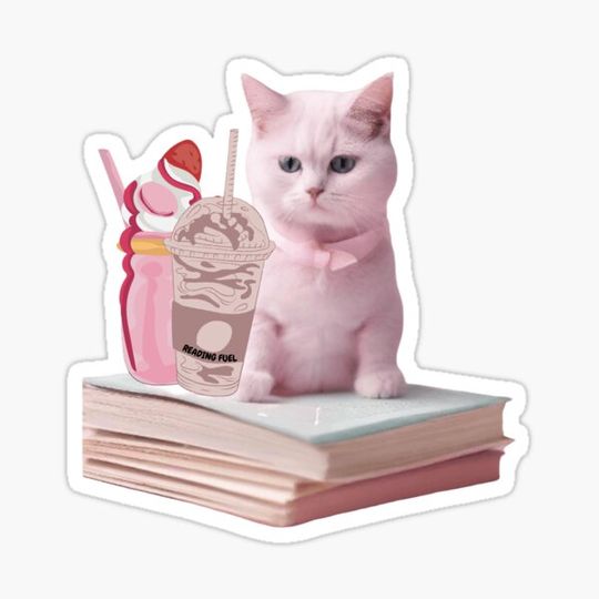 Discover Cute Pink Coquette Cat Reading Books | Coffee and Pink Drink | Book lover