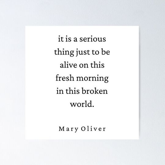 Discover Mary Oliver Quote - It is a serious thing