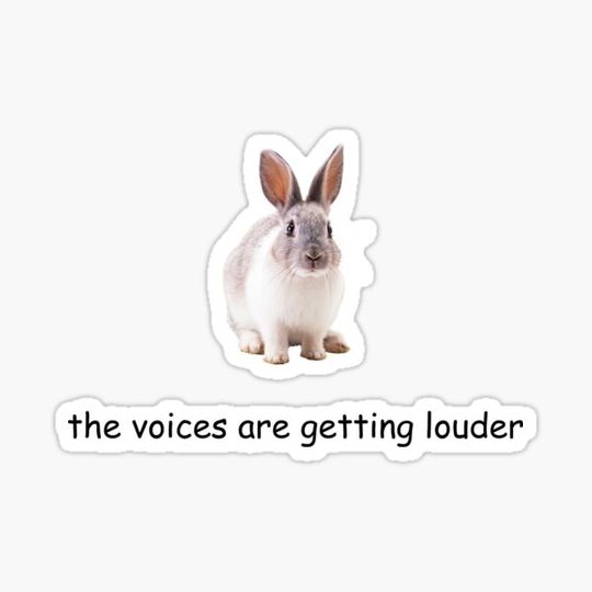 Discover Schizo Rabbit