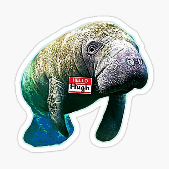Discover Hugh Manatee