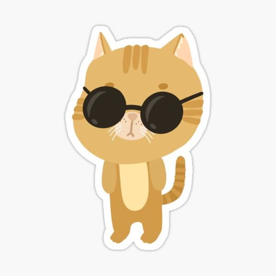 Discover Cool Cat