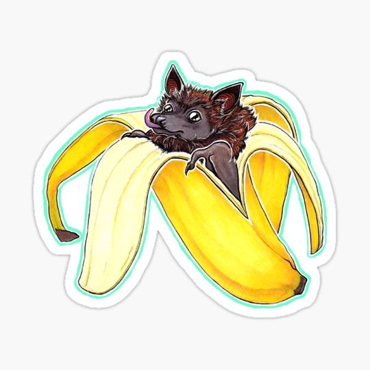 Discover BatNANA