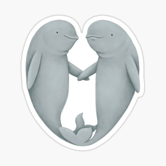 Discover Beluga Love