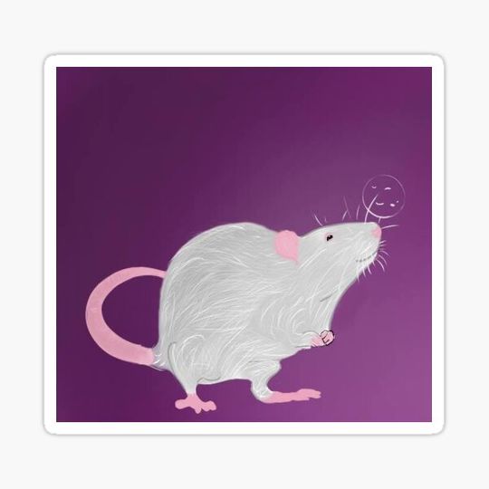 Discover RatBubble