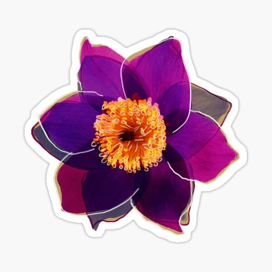 Discover Flower Power SIX