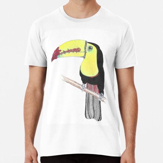 Discover Toucan