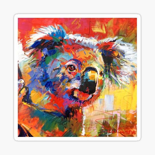 Discover Curious Koala