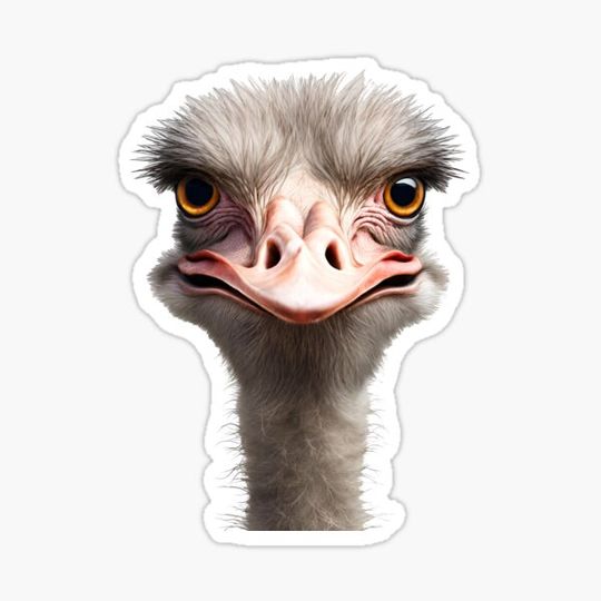 Discover Quirky Ostrich Portrait