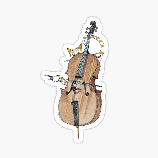 Discover Cello Cat