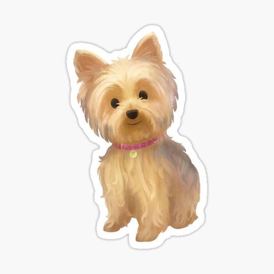 Discover Yorkie