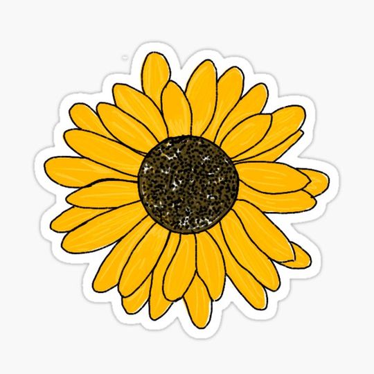 Discover A Modern Sunflower