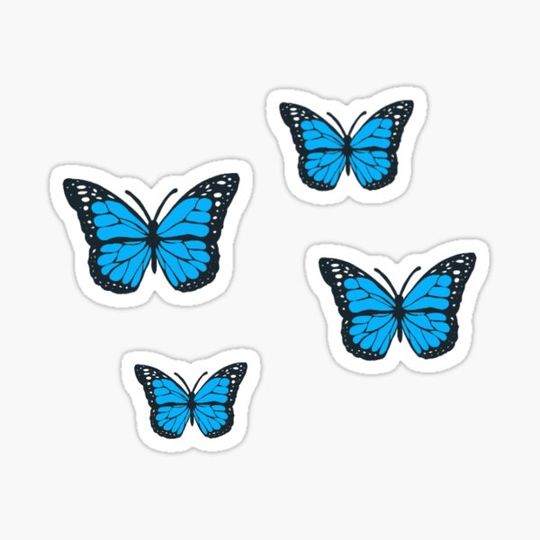 Discover blue butterflies