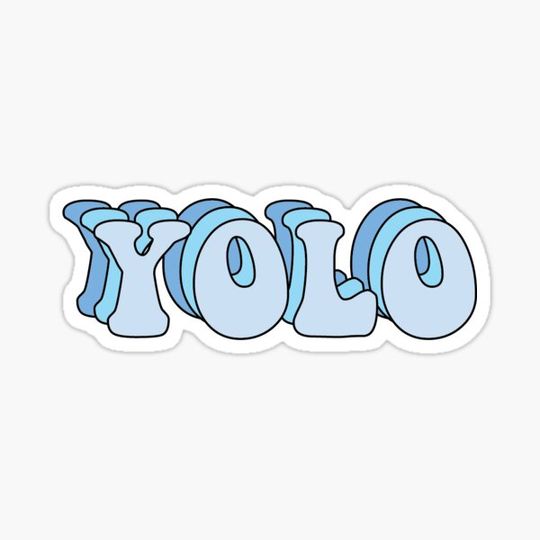 Discover yolo