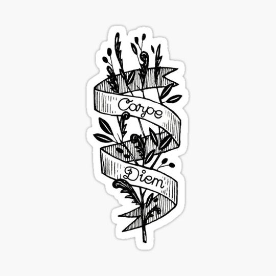 Discover carpe diem flower