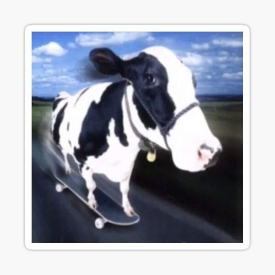 Discover Cow on a Skateboard